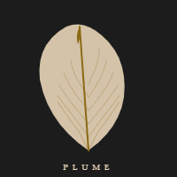 IM体育 Logo